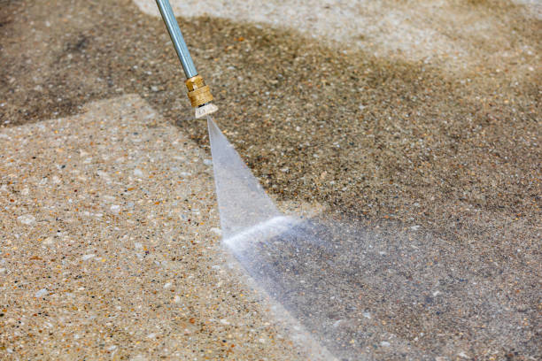 Trusted Dansville, NY Pressure Washing Services Experts