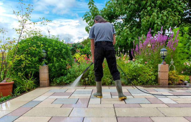 Best Spring Cleaning  in Dansville, NY