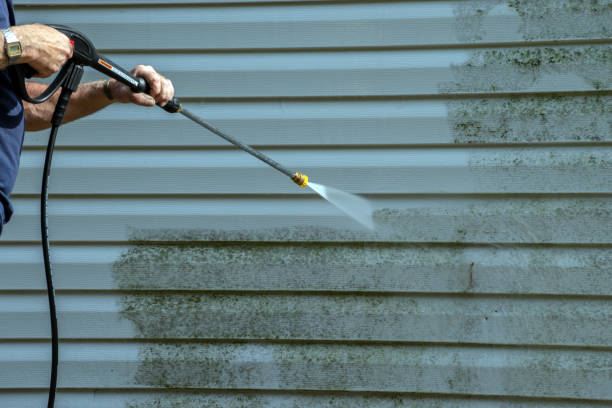 Best Roof Washing  in Dansville, NY